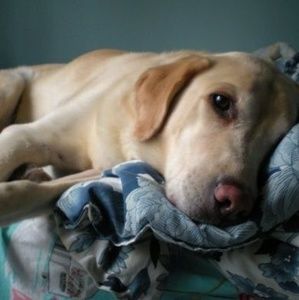 Meet your Posher, Peggy